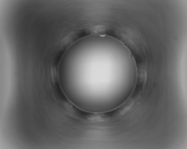 X0000113990523200910091341