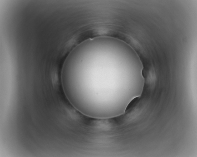 X0000113990524200910091341