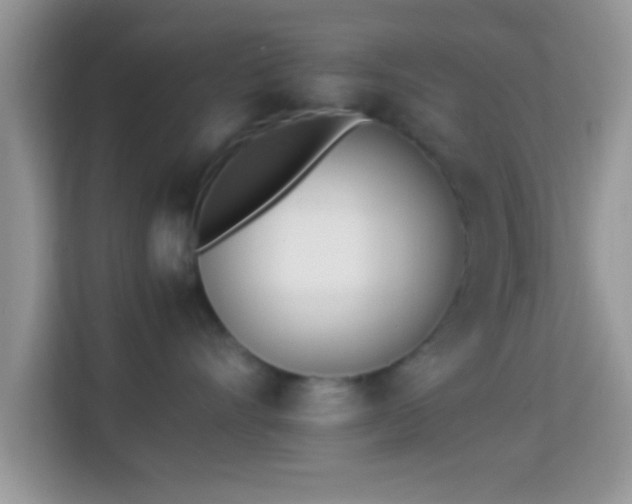 X0000113990528200910091341