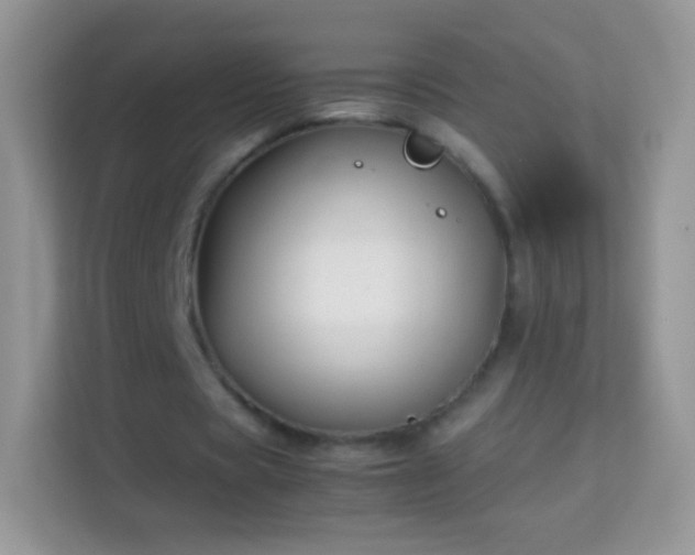 X0000113990529200910091340