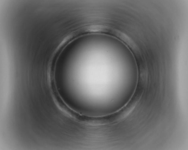 X0000113990530200910091340