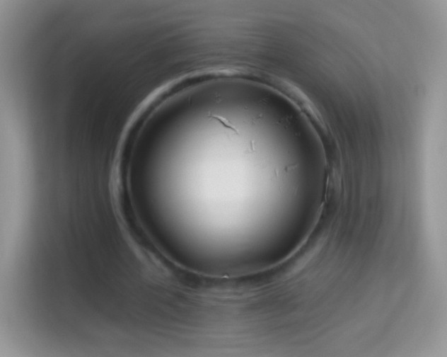 X0000113990532200910091340