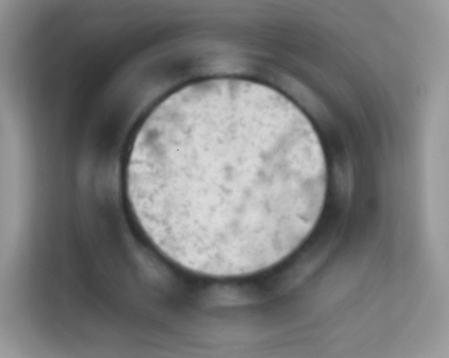 X0000113990534200910091340