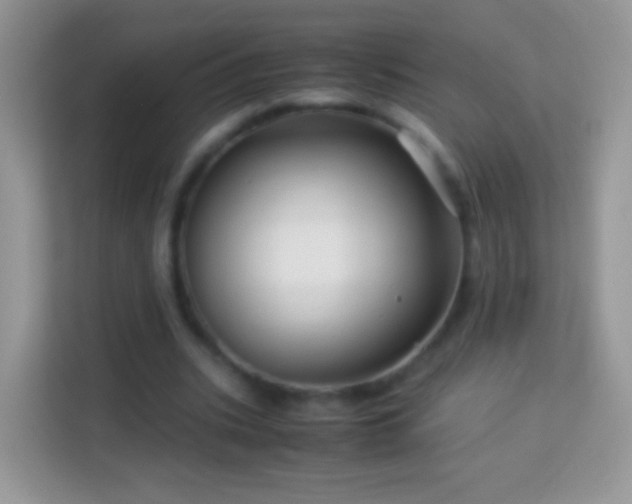 X0000113990535200910091340