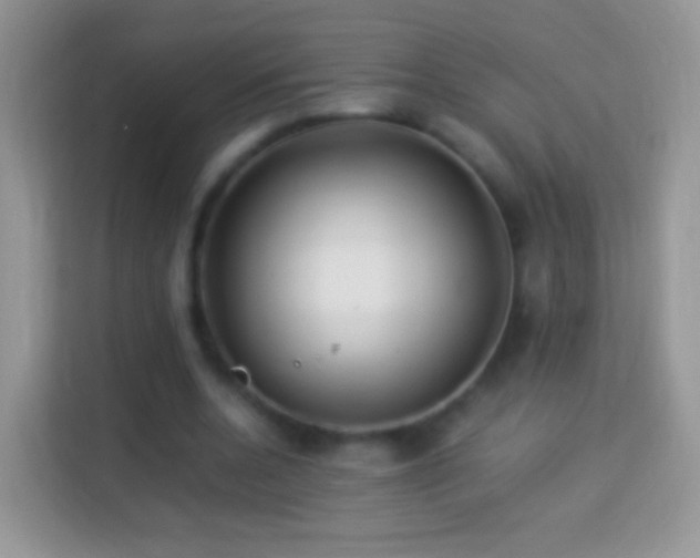 X0000113990536200910091340