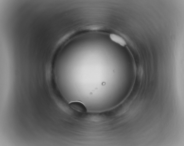 X0000113990540200910091340