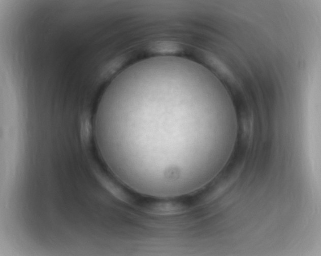 X0000113990541200910091340