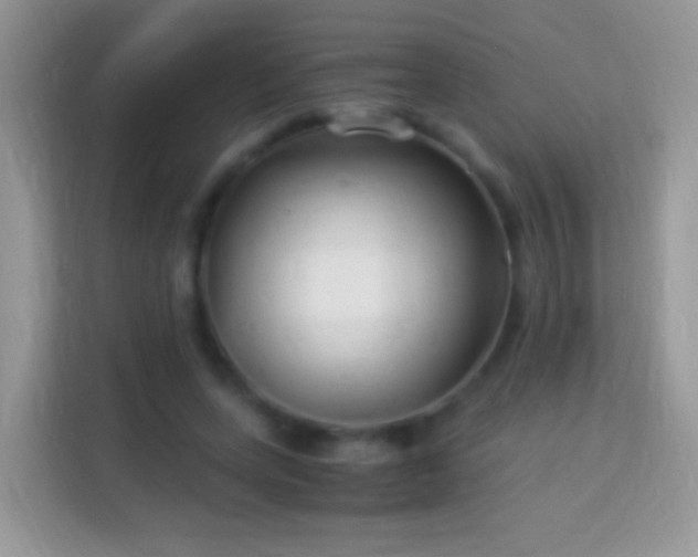 X0000113990543200910091340