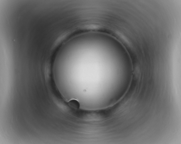 X0000113990544200910091340