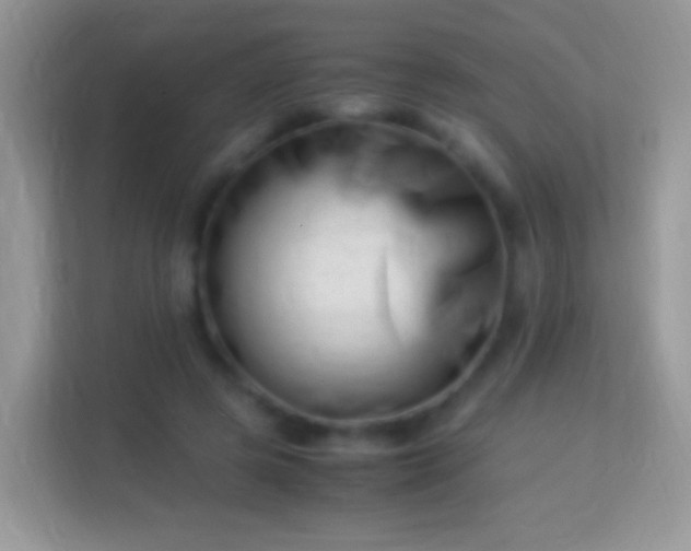 X0000113990545200910091340