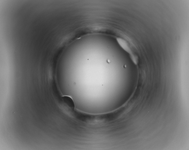 X0000113990546200910091340