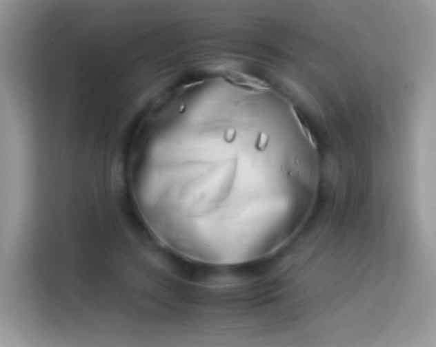 X0000113990547200910091340