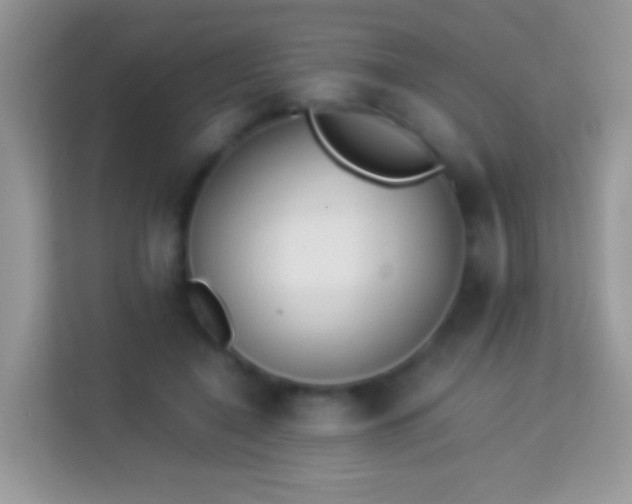 X0000113990548200910091340