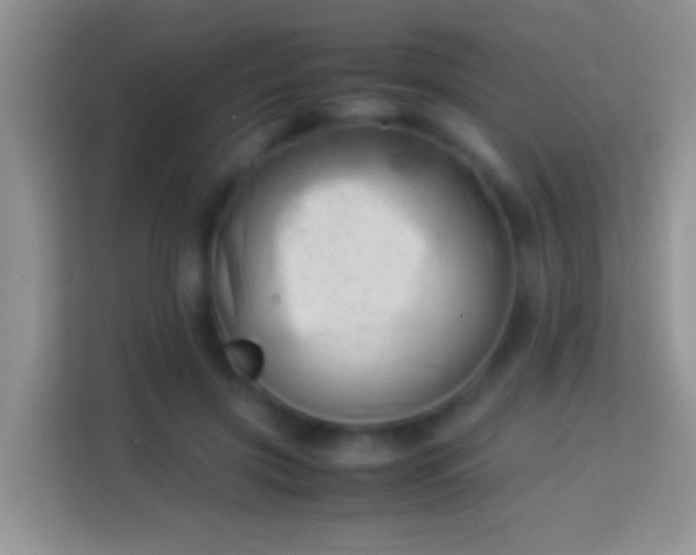 X0000113990549200910091340