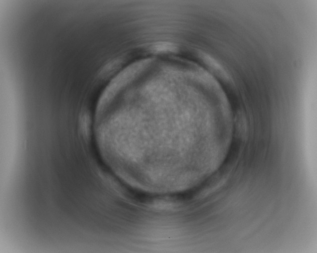 X0000113990550200910091340