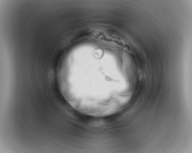 X0000113990551200910091340