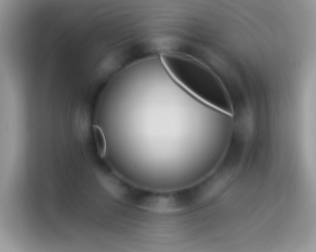 X0000113990552200910091340