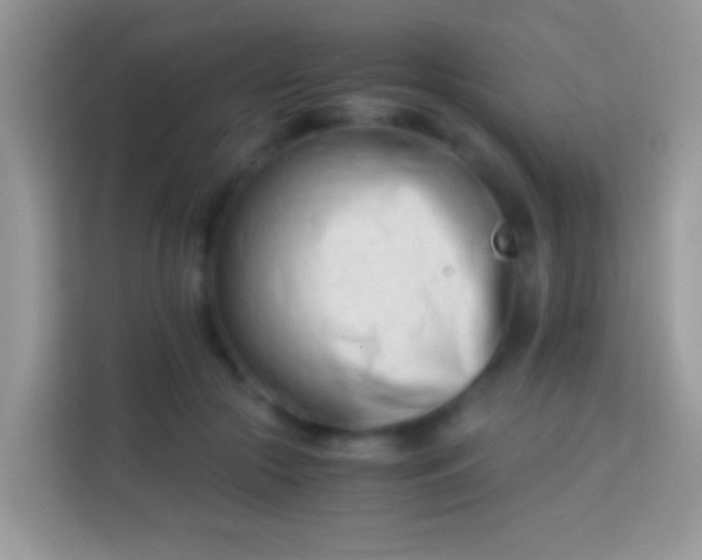 X0000113990553200910091340