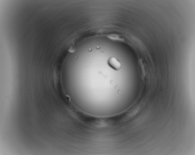 X0000113990558200910091340