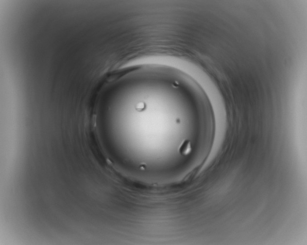 X0000113990560200910091340