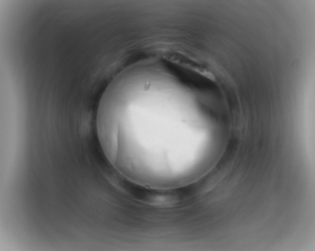 X0000113990563200910091340