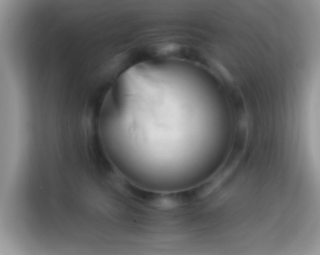 X0000113990565200910091340