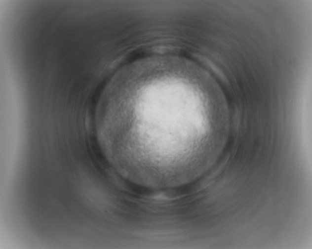 X0000113990569200910091340