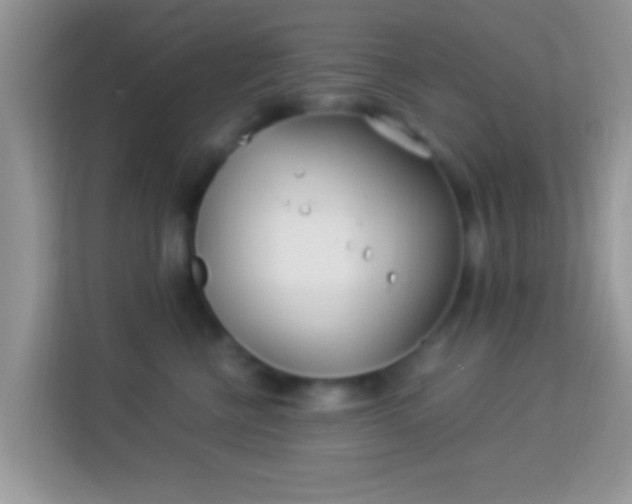 X0000113990570200910091340