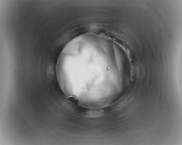 X0000113990571200910091340