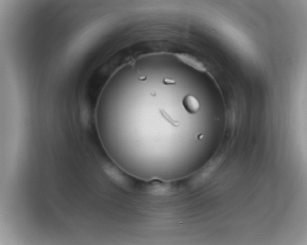 X0000113990574200910091341