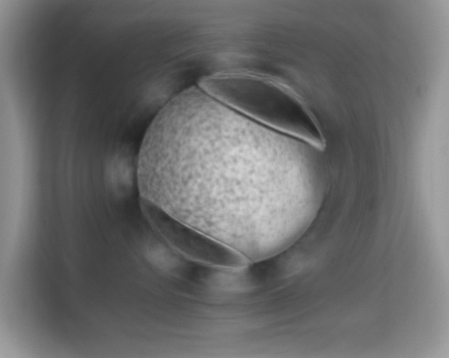 X0000113990576200910091341