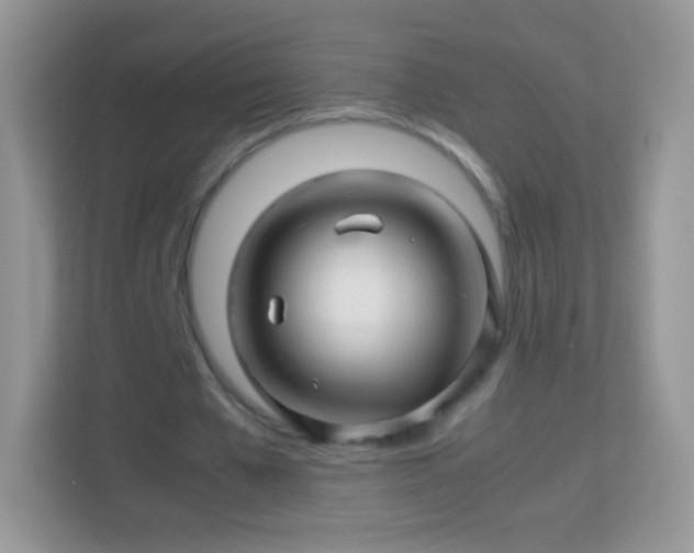 X0000113990577200910091340