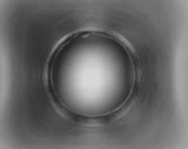 X0000113990580200910091340