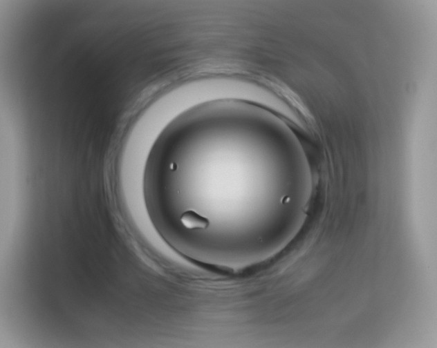 X0000113990581200910091340