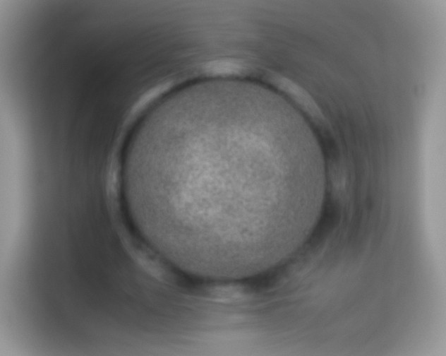 X0000113990583200910091340