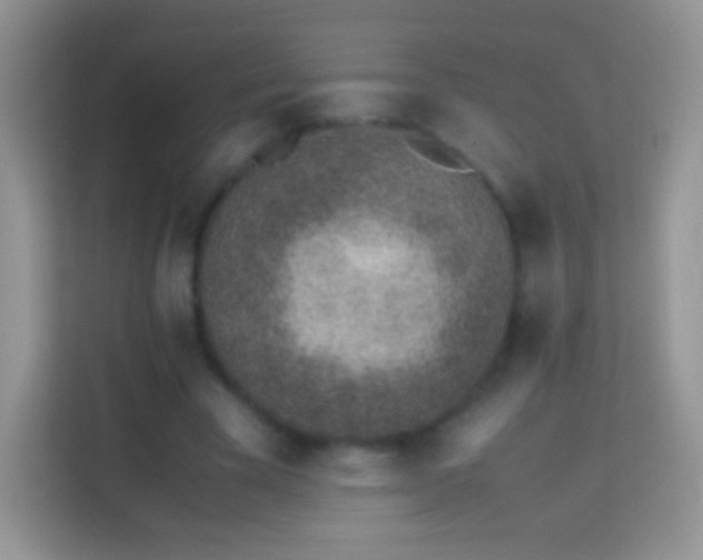 X0000113990585200910091340