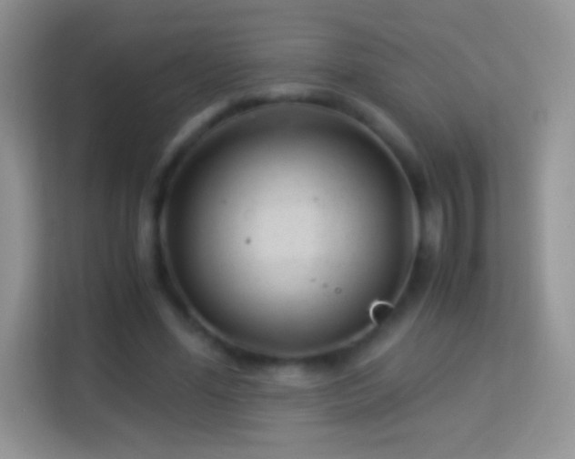 X0000113990588200910091340