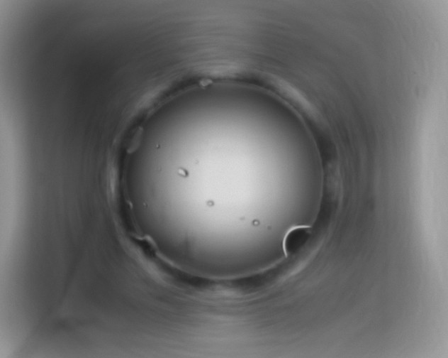 X0000113990589200910091340