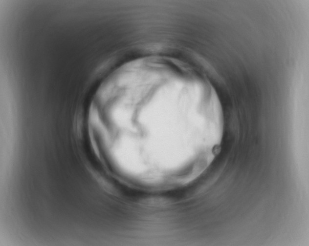 X0000113990590200910091340