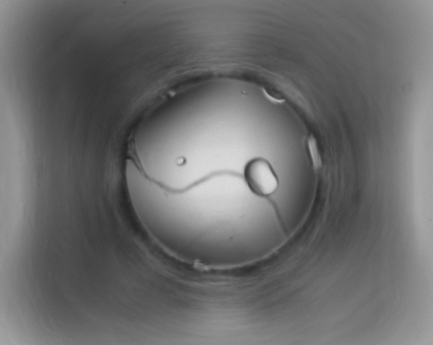 X0000113990593200910091340