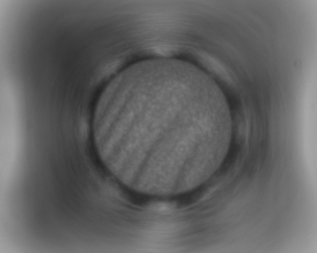 X0000113990595200910091340