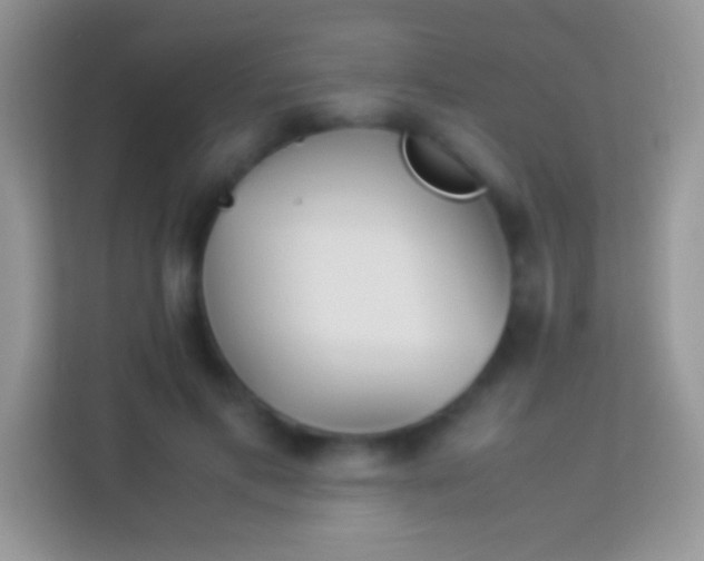 X0000113990597200910091340