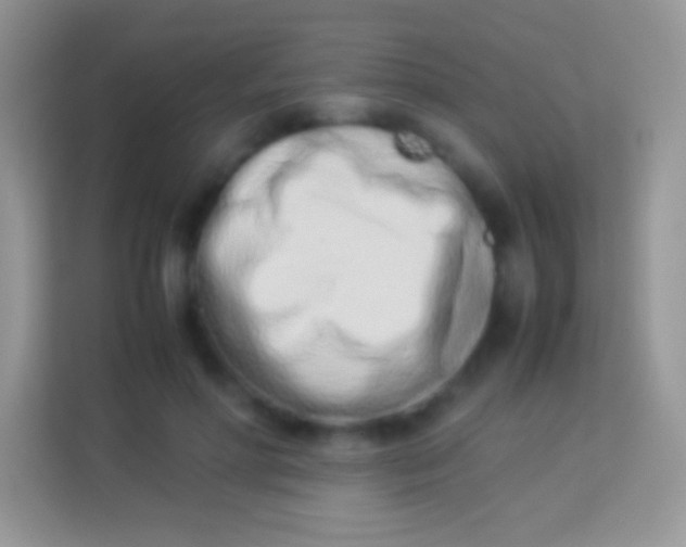 X0000113990598200910091340