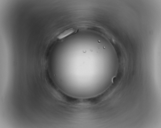 X0000113990601200910091340