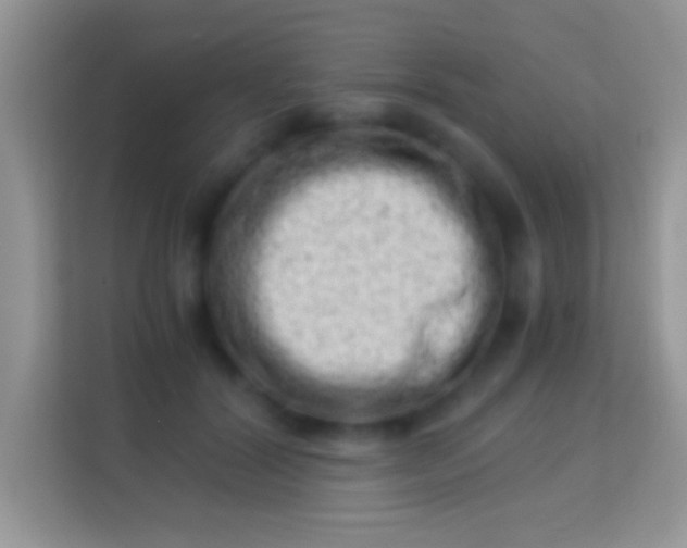 X0000113990604200910091340