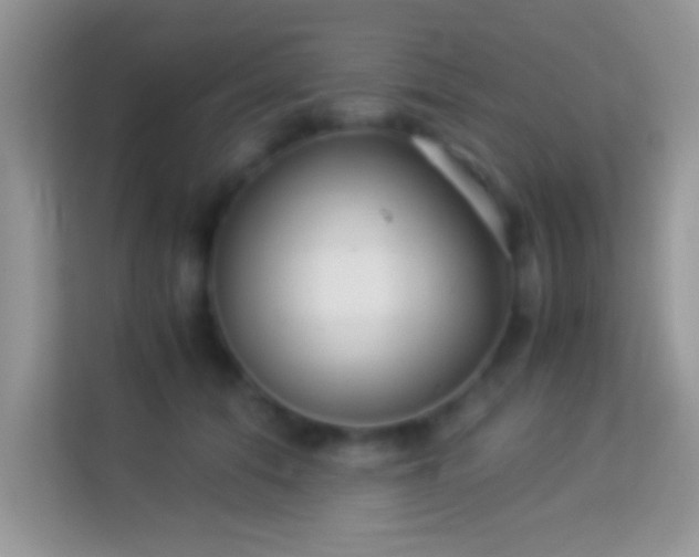 X0000113990608200910091340