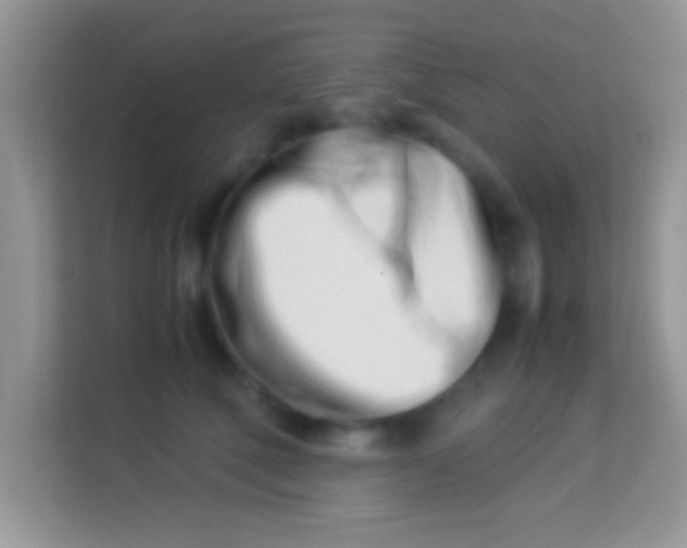 X0000113990610200910091339