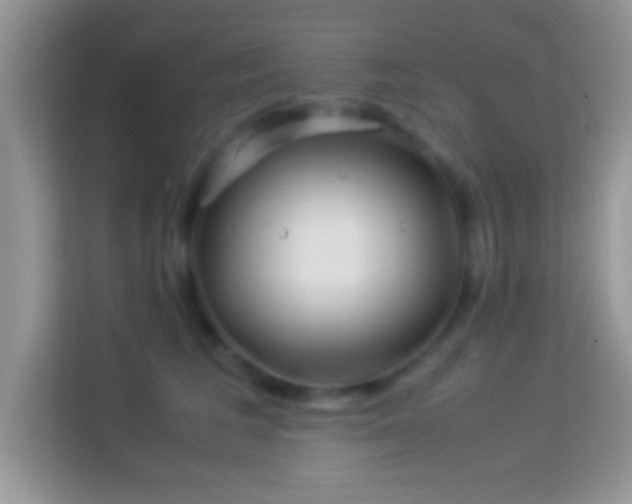 X0000113990613200910091339