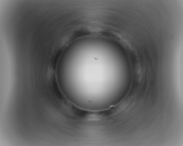 X0000113990614200910091339