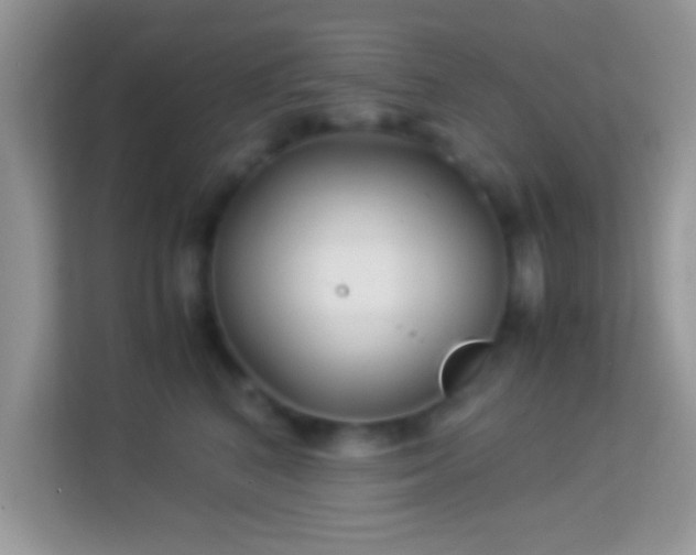 X0000113990616200910091339